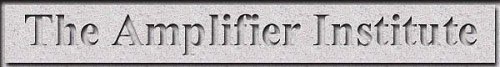The Amplifier Institute
